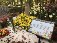 -汇龙潭
