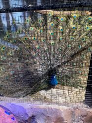 -酷嗒动物文化乐园(cutezoo西溪乐天城店)