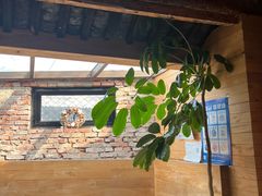 -VOYAGE COFFEE(北锣鼓巷店)