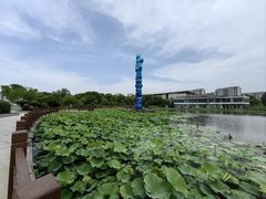 -海天湖公园