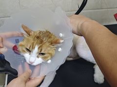 -美联众合动物医院·24h京西诊疗中心