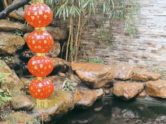 -云溪植物园