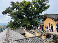-杨家堂村