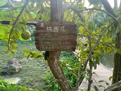 -海南槟榔谷黎苗文化旅游区