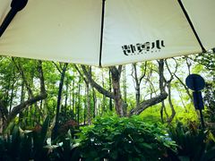 -也枫·小黄楼(南山路旗舰店)