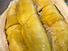 -都念榴莲·城市榴莲