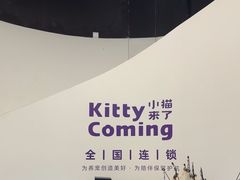 -小猫来了·猫舍(红山六九七九店)