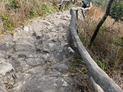 -梧桐山风景名胜区