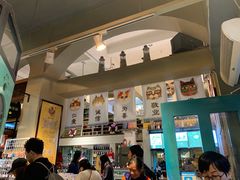 -猫咪博物馆(顶澳仔猫街店)