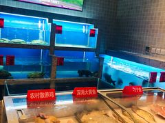 水产区-湘满甲·黄焖甲鱼创始者·湘菜·鲁菜(潘家园店)