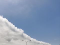 -洨河生态公园
