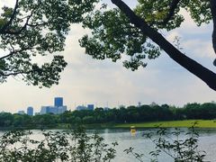 -黄兴公园