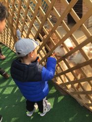 -萌宠亲子动物乐园(槐房万达店)