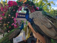 -西双版纳勐泐文化旅游区