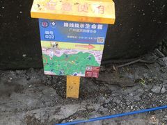 -火炉山森林公园