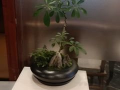 -裕和堂中医推拿艾灸(太古汇臻品店)