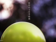-重庆平顶山公园
