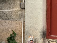 -三溪村