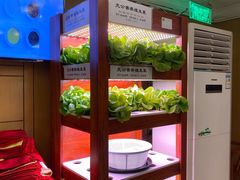 -峨嵋酒家总店(车公庄店)