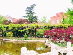 -北京市海淀外国语实验学校