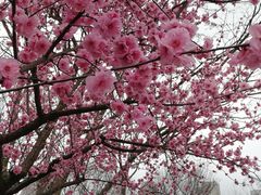 -白塘生态植物园