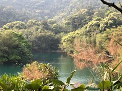-鼎湖山风景区