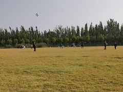 -甜心庄园·甜心草莓采摘园(西青中北店)