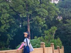 -晓港公园