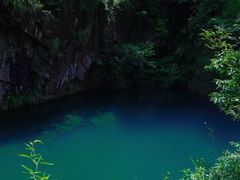 -大奇山国家森林公园