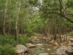 -玉渡山自然风景区