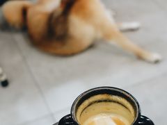 piccolo-Tequila Espresso(嘉善路店)