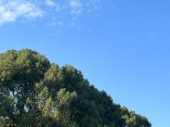 -君来湖滨饭店·玫瑰园