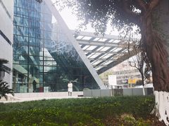 -野鸽子咖啡(航空路店)