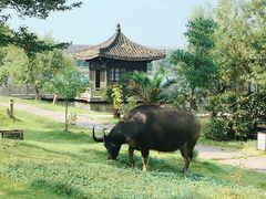 -杏花村文化旅游区