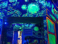 -天津梵高星空艺术馆(天河城旗舰店)