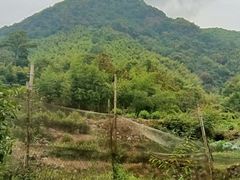 -藏龙百瀑风景区