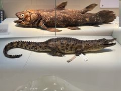 -国家自然博物馆