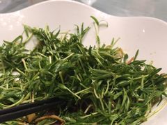 -沪碟·精菜坊(闵行店)
