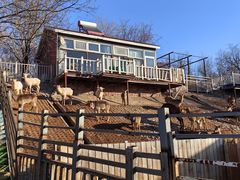 -北京鹿世界主题园