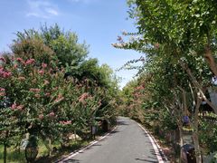 -武汉紫薇都市田园