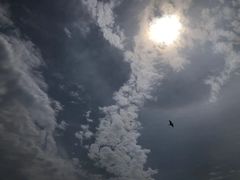 -卧龙湖