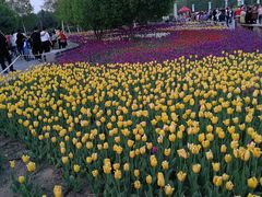 -长春公园(普阳街道)