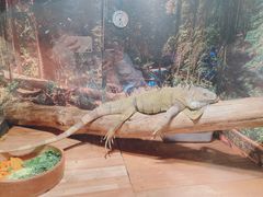 -多彩贵州城极地海洋世界