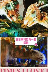 -恐龙探索乐园(磁器口店)