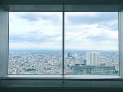 -东京都厅舍