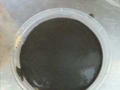 黑芝麻花生糊双拼-芝麻糊世家(西华店)