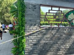 -莲花池公园