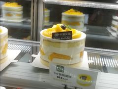 -卡滋贝诺动物奶油生日蛋糕(亚太潮尚店)