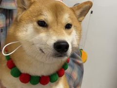 -布吉佳兆业广场