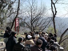 -灵顺寺